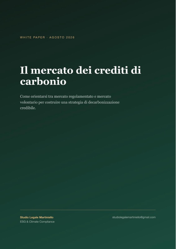 Copertina della guida: Il mercato dei crediti di carbonio